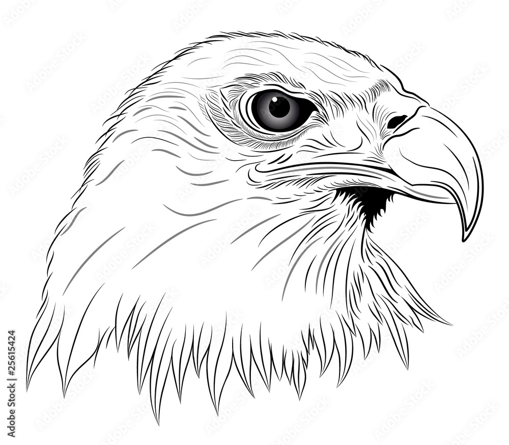 Obraz premium Eagle in the form of a tattoo