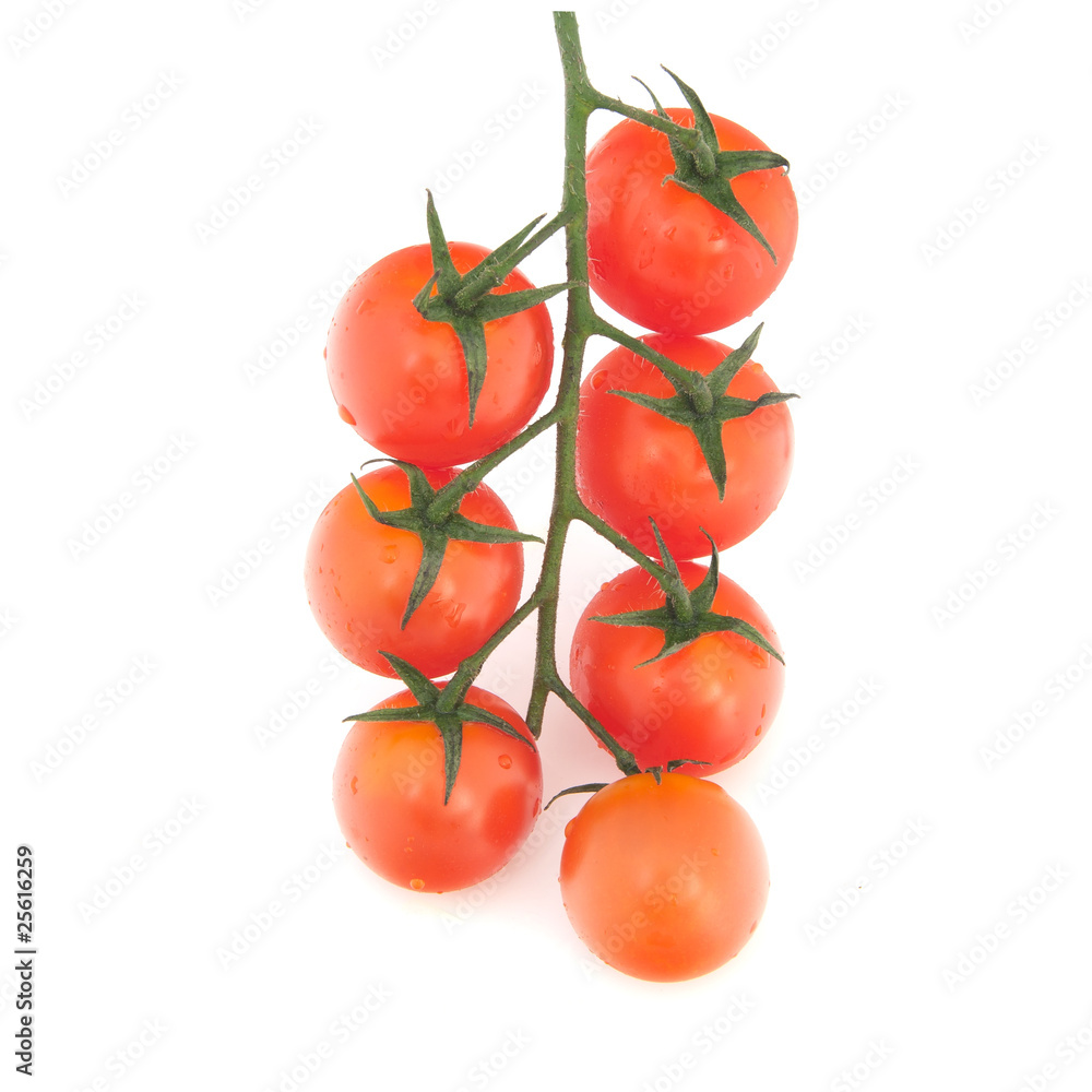Branch of cherry tomatoes on white background. Branch of cherry tomatoes on white background.