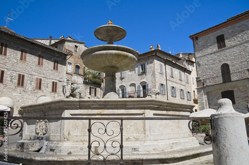Lion fountain. Assisi. Umbria.