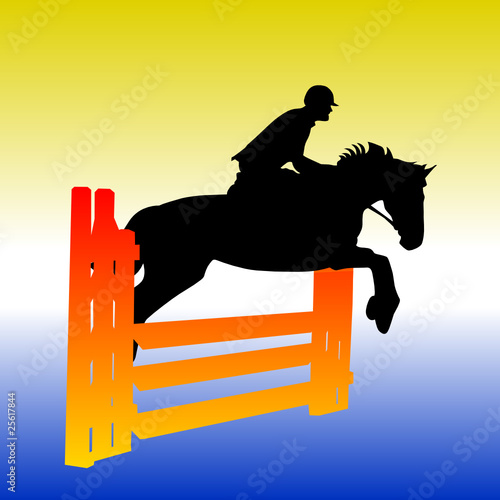 equestrian on horse during competitions
