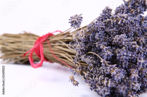 Bunch of dried lavender tied with a red string on white