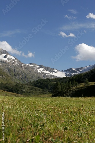 Val di Fex - Panorama © giupax