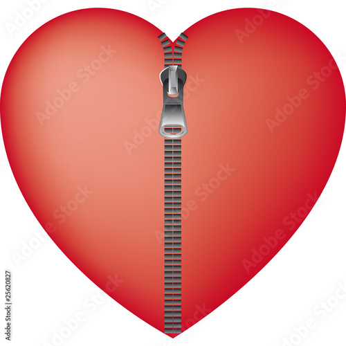 cuore cerniera