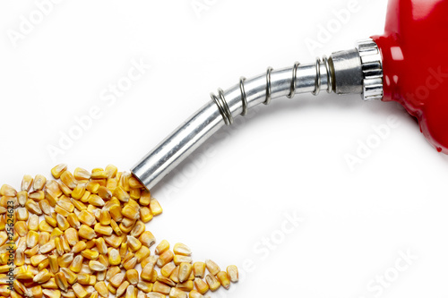 Filler up...with corn based ethanol