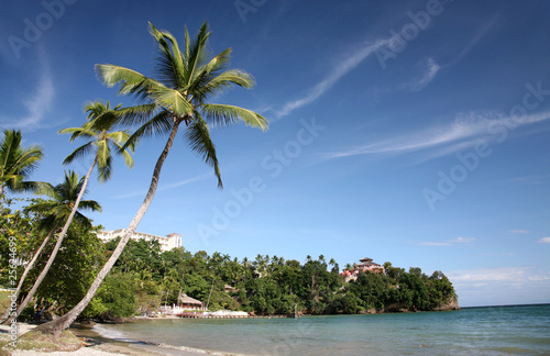 Caribbean Landscape