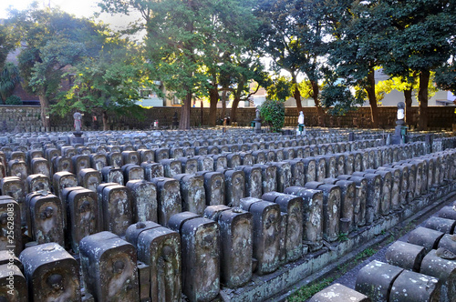 Photography Jomyoin