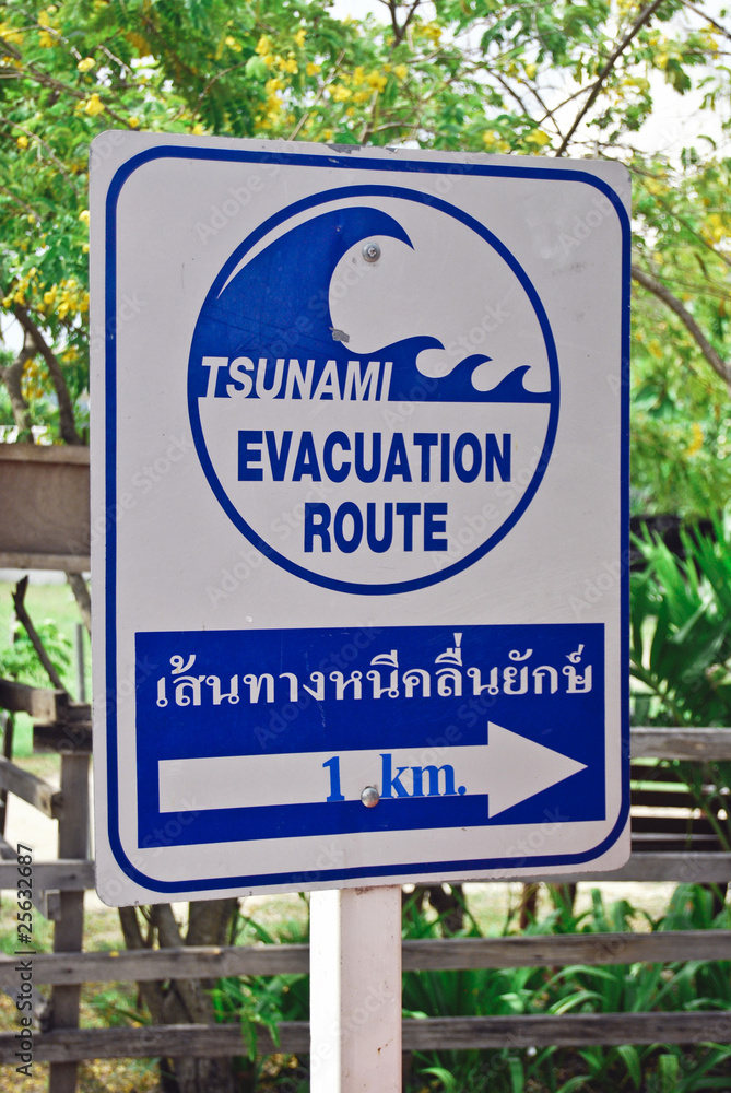 tsunami board in phi phi