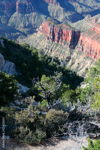 Grand Canyon National Park, USA..