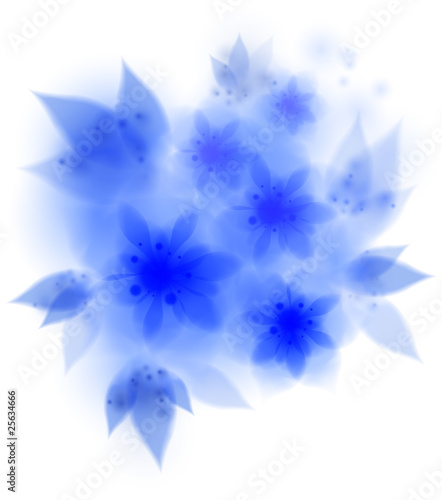 blue amaryllis flowers - vector illustration