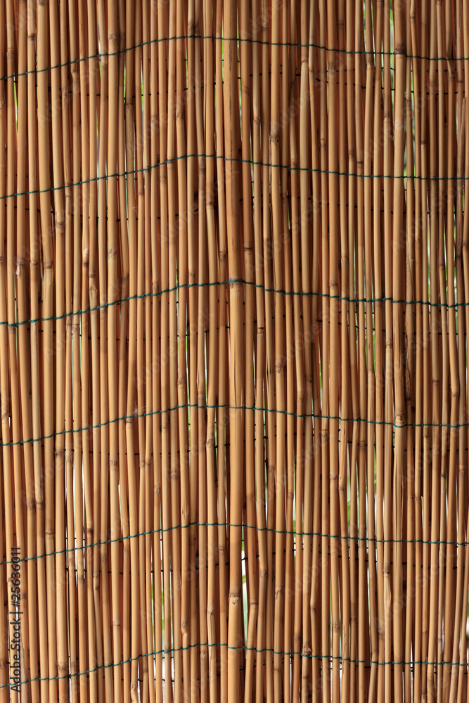 Reed wall Reed wall