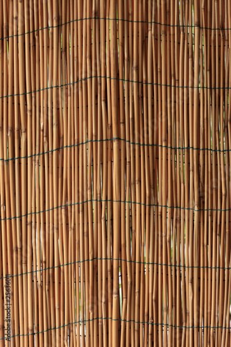 Reed wall