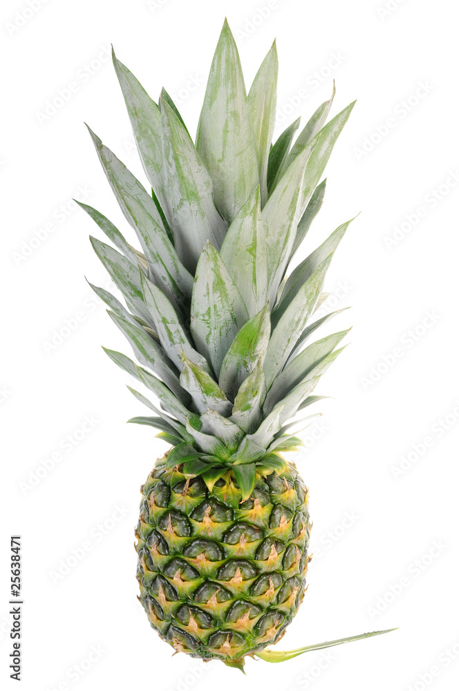 Pineapple isolated on white background Pineapple isolated on white background