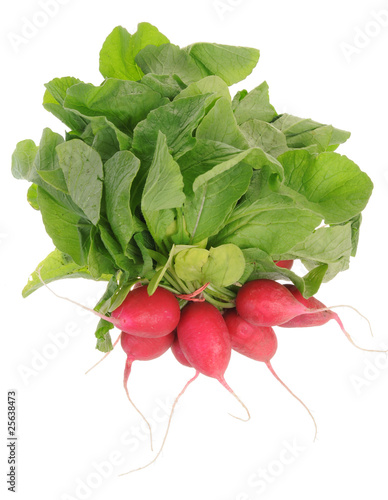 Fresh radishes isolated on white background