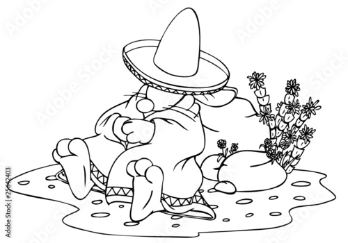 Mexiko, Mexikaner, Maus, Ratte, Sombrero, Fiesta