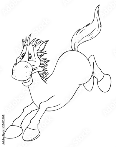Pferd, springen, Reiten, Galopp, Galoppieren, Wildpferd