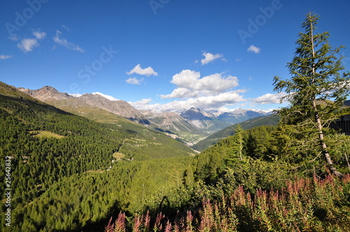 alpes, frontiere italie suisse, lombardie photo