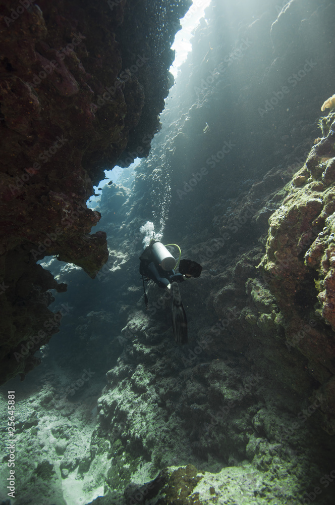 Diver exploring an cave. Great barrier reef, australia