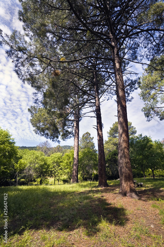 Valle de Iruelas