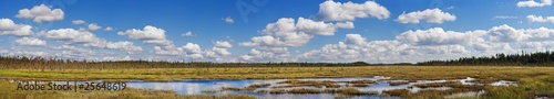 summer north marsh river meadow