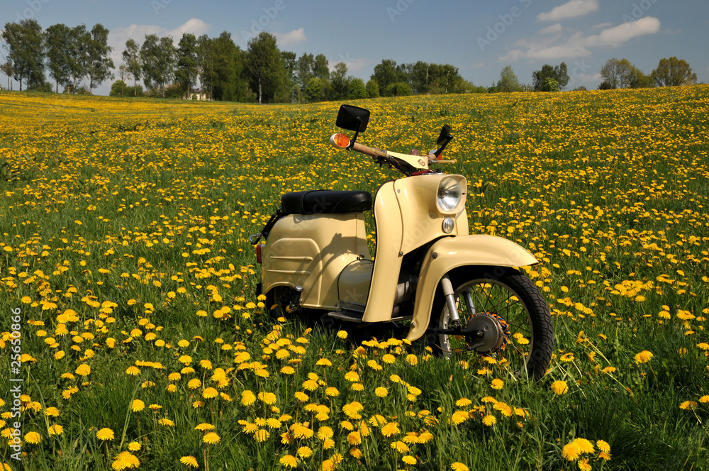 Obraz premium Moped Schwalbe