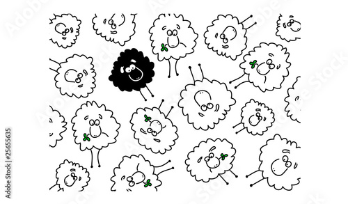Background with white and black sheep