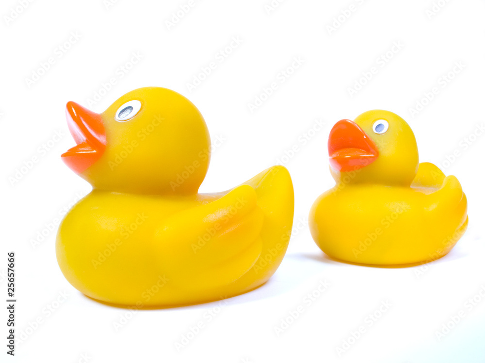 Two rubber ducks Two rubber ducks