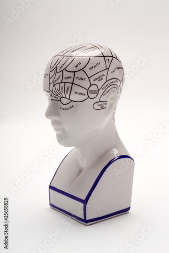 Phrenology Head