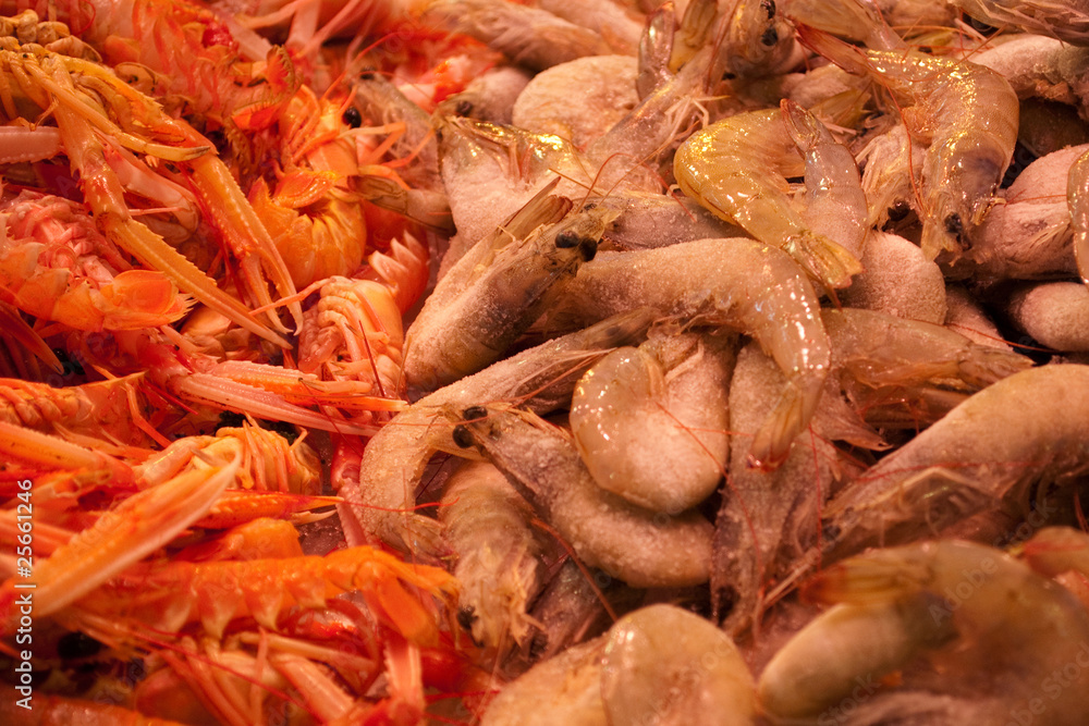 shrimps shrimps