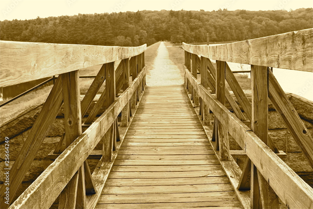 Fototapeta premium wooden bridge