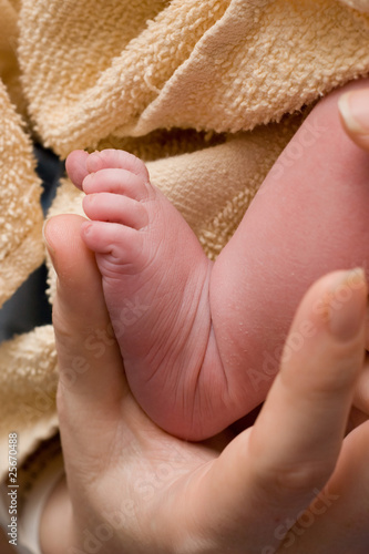A Baby's Foot and a Mother's Hand