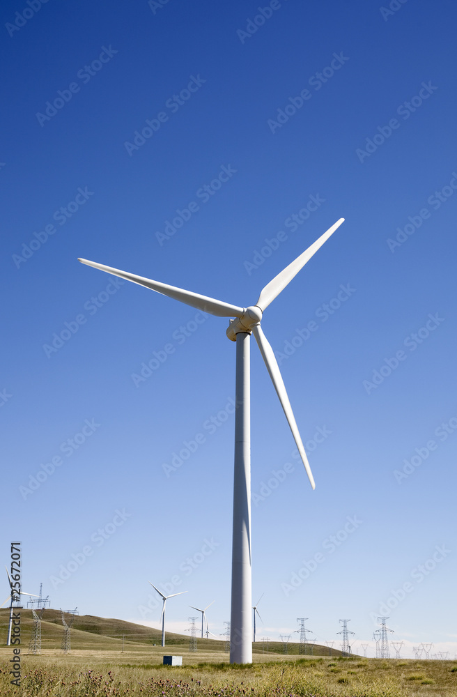 wind turbine