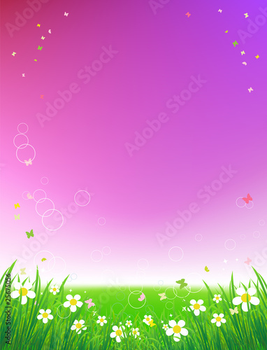 Sunset on green field, summer background