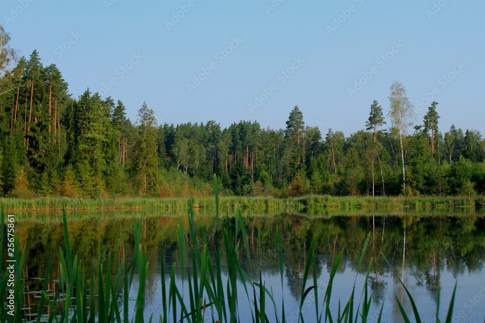 Nature Summer Lake