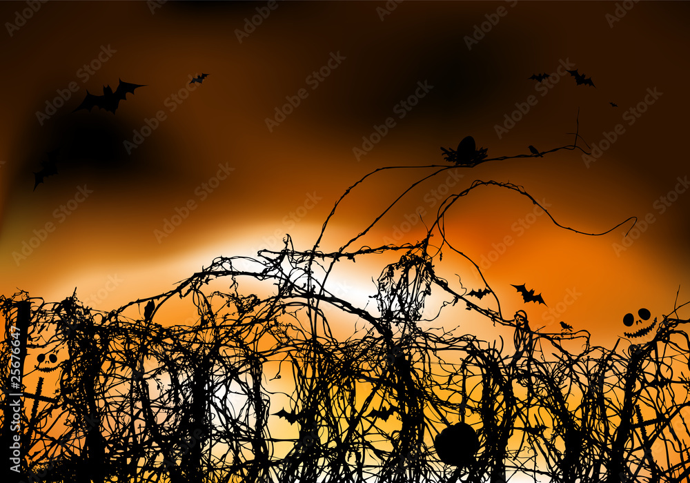 Obraz premium Halloween night background