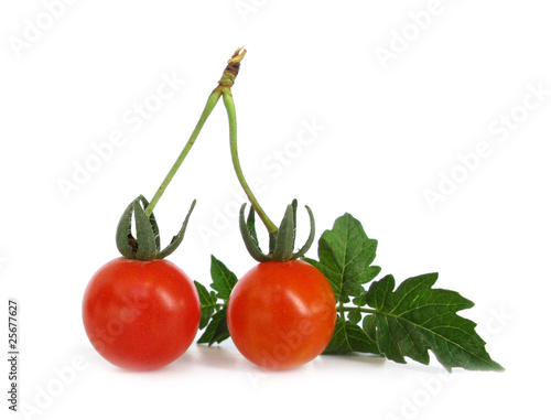 Wallpaper Mural Cherry tomato with green leaves Torontodigital.ca