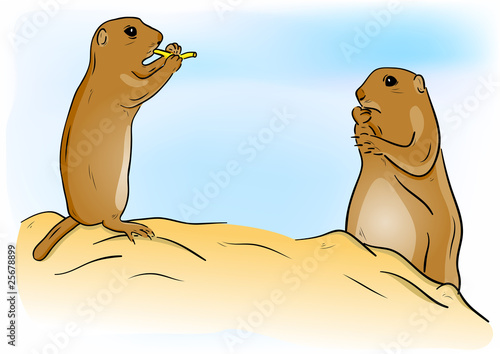 prairie dog