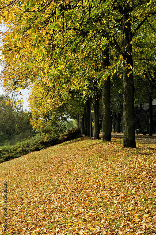 Naklejka premium herbst