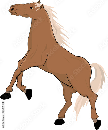 horse