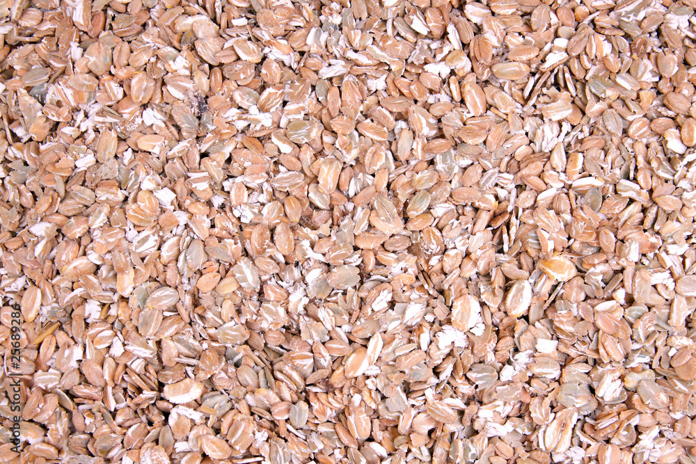 Oatmeal Oatmeal