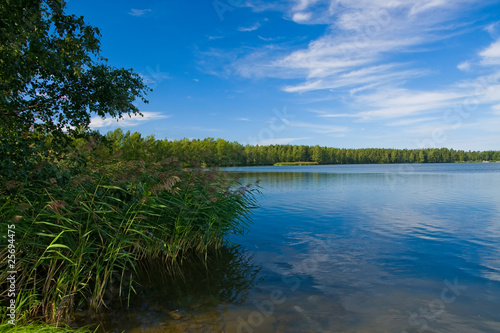 VAASA, FINLAND: lake with beautiful blue sky and reed in lake