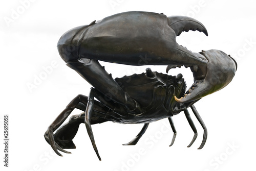 black crab
