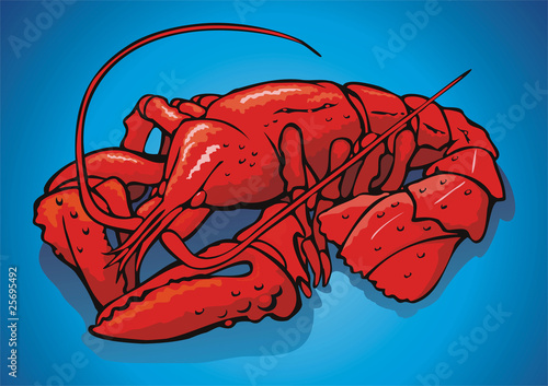 Red crayfish