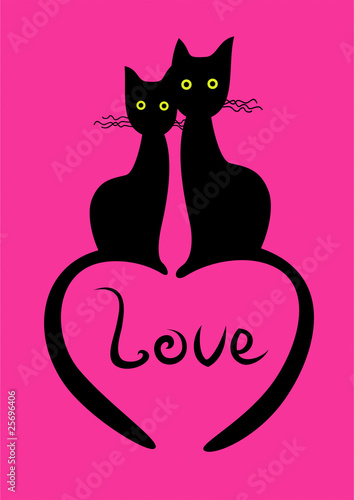 cats on heart