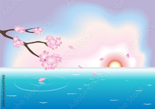 flowers and sunset