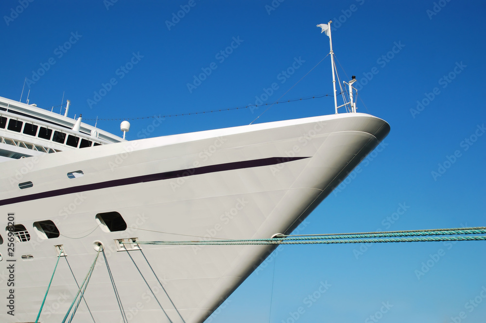 Naklejka premium Cruise ship