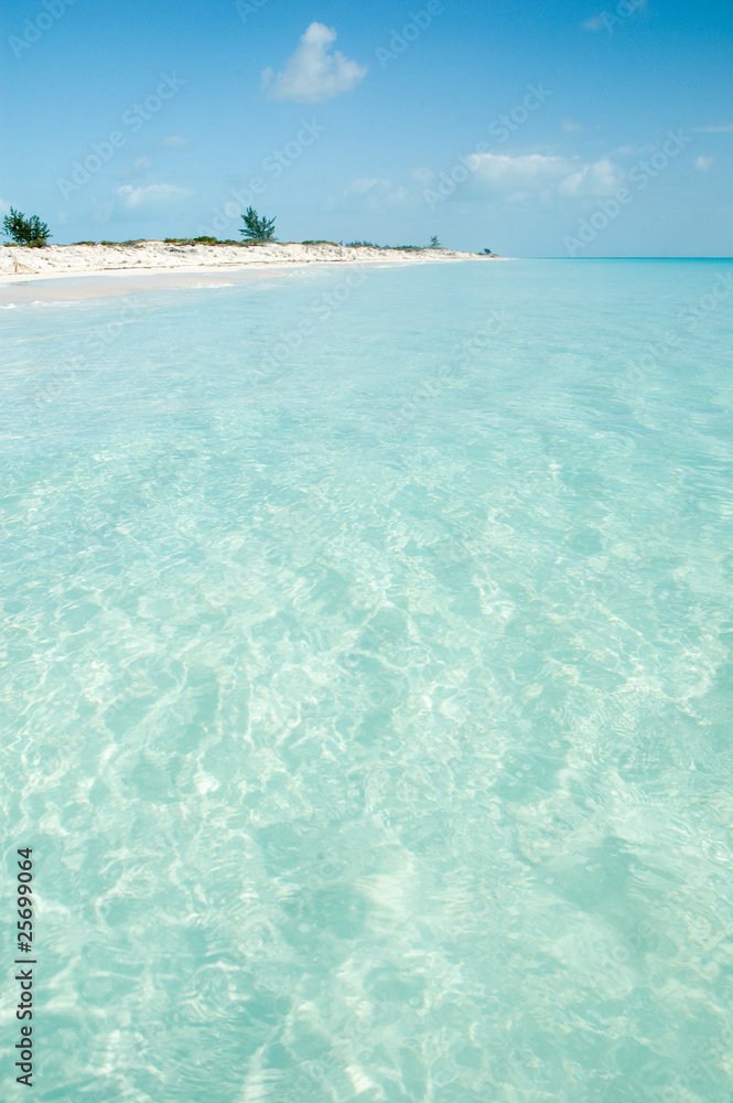 Caribbean beach with crystal-clear water