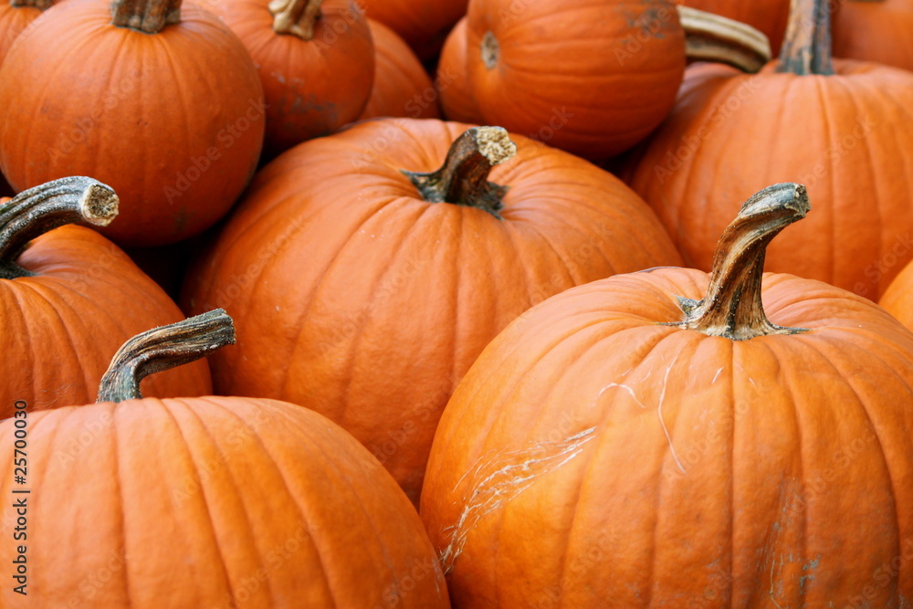 fall fall