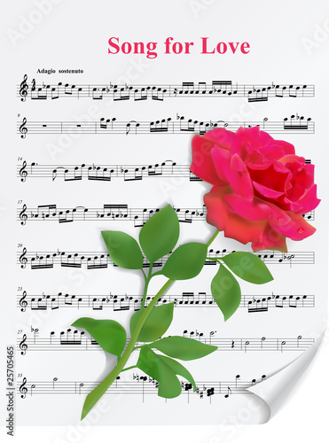 Red rose on notesheet