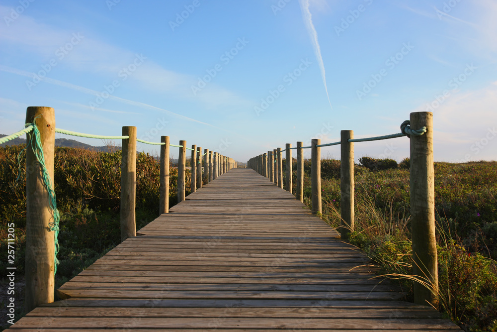 Obraz premium path to the beach