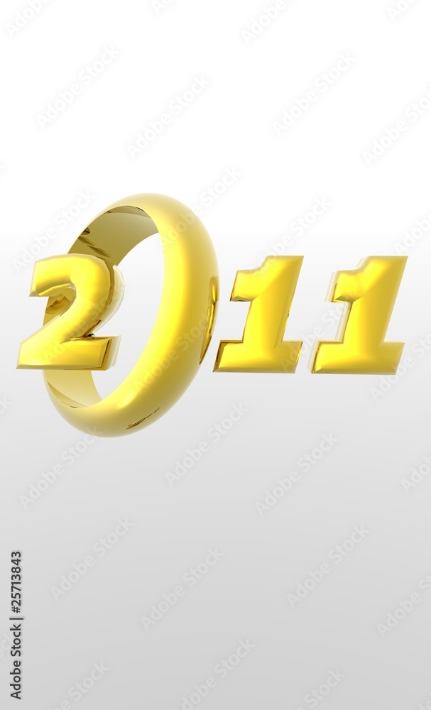 2011 2011